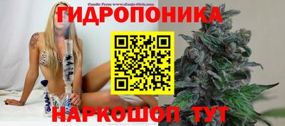 jwh Белореченск